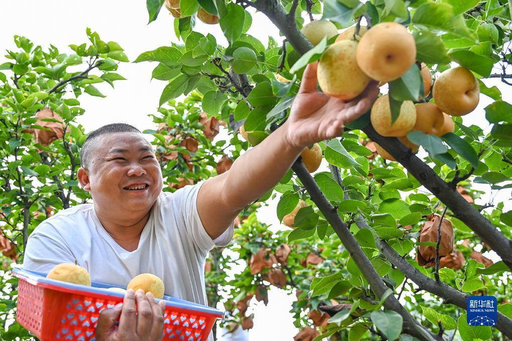 澳门客户端平台