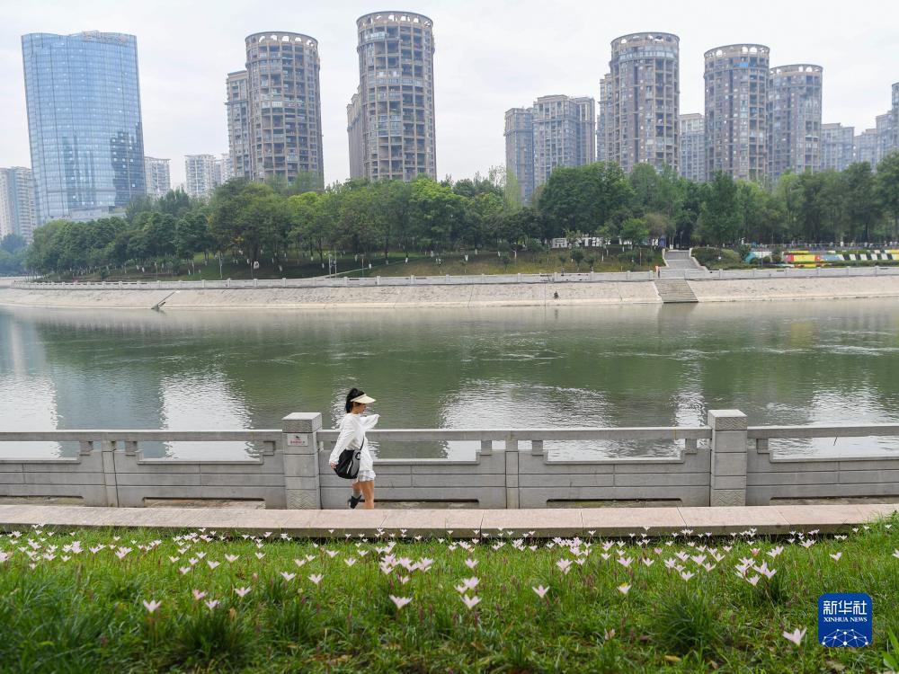 澳门新葡萄金